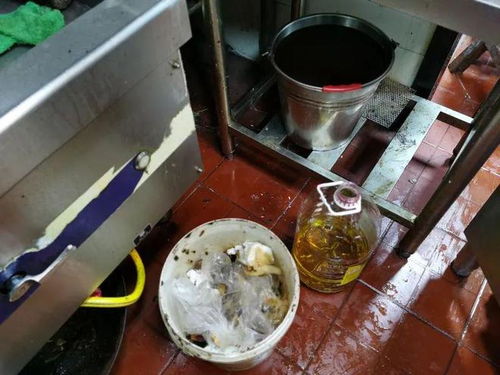 上海人微信群流传 餐饮复工后厨房脏得不能看 都是积压库存 记者调查发现
